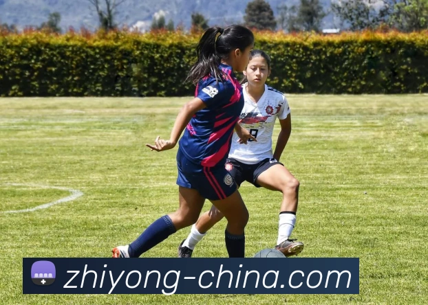 历届奥运会举办国一览:从雅典到巴黎见证夏季奥运会变迁